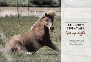fall down get up pony