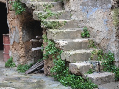 Glory Glimpse: Nazarene