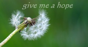 Give me a hope, M.G. Kafkas