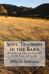 Soul Training cover