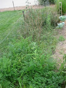 3920658201_f1654af939_z