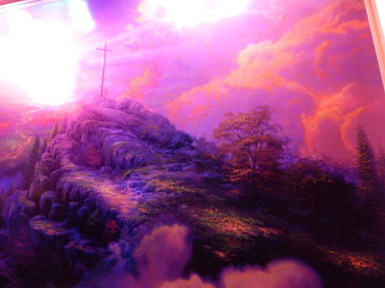 12310018_10206769323103729_7814769816479584862_o