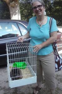 Heartsong Bunnies and Bullies