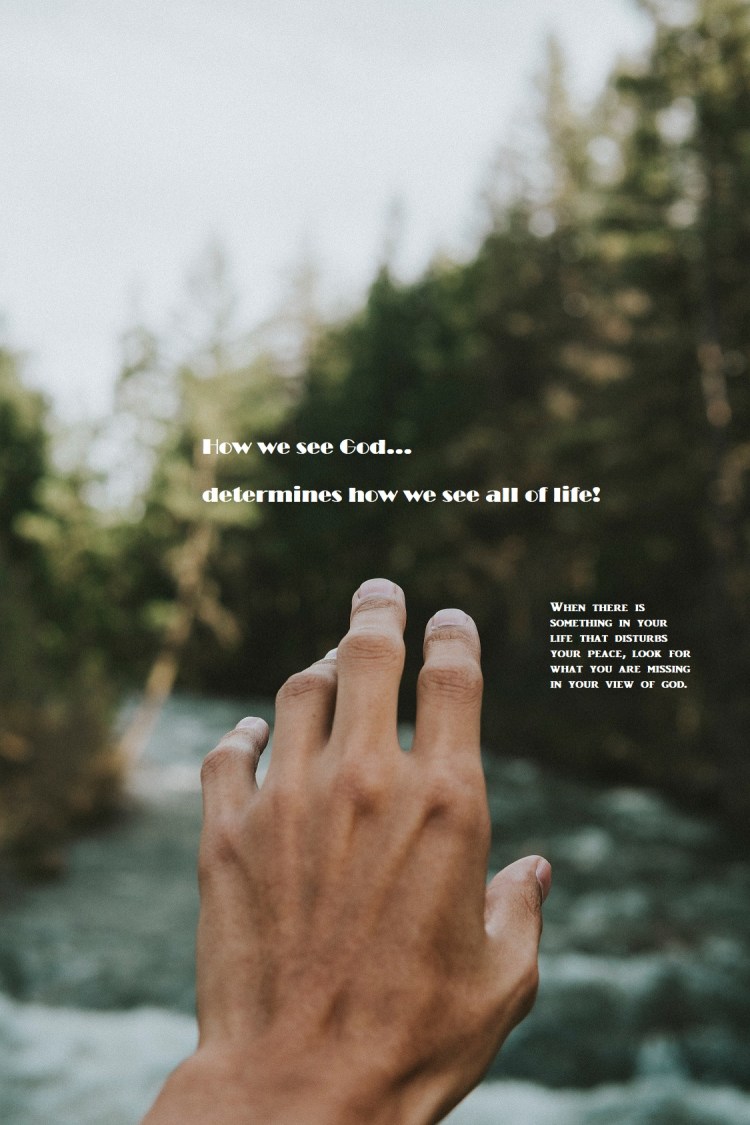 andrew-charney-608326-unsplash