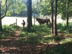 Demon John my domain