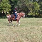 Scooby you dont control me