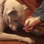 46897238_10215414416865670_8701322365503537152_n (1)