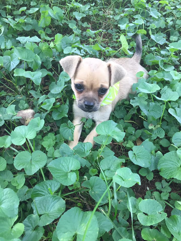 109261980_10220411437948074_5893185326869915881_n